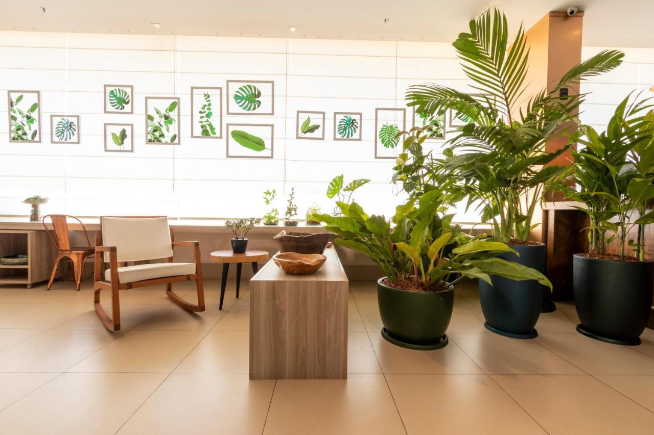 Ibis Styles Curitiba Aeroporto Hotell São José dos Pinhais Eksteriør bilde