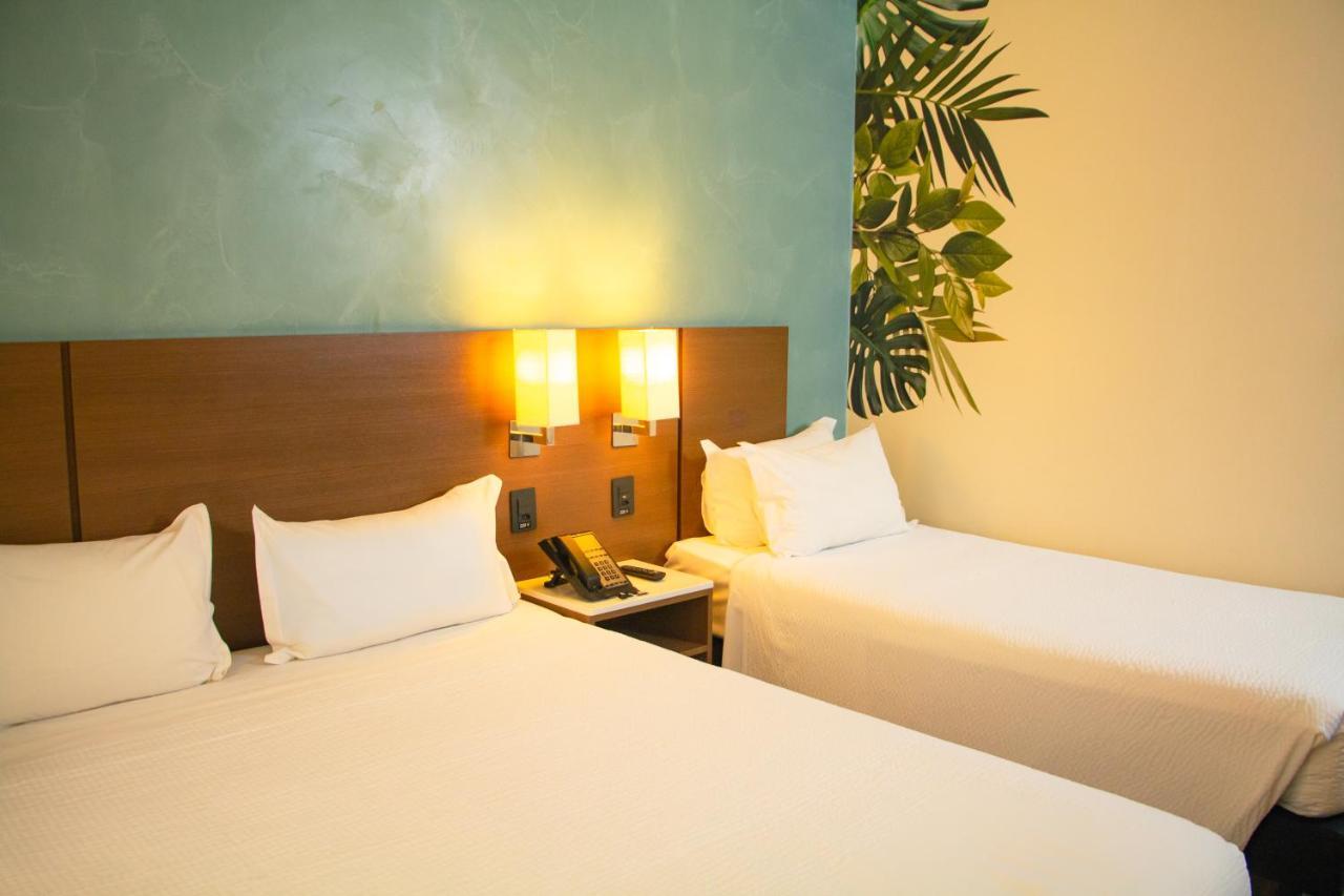 Ibis Styles Curitiba Aeroporto Hotell São José dos Pinhais Eksteriør bilde
